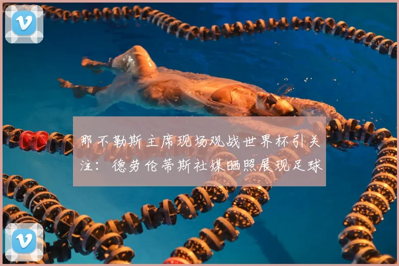 那不勒斯主席现场观战世界杯引关注：德劳伦蒂斯社媒晒照展现足球热情