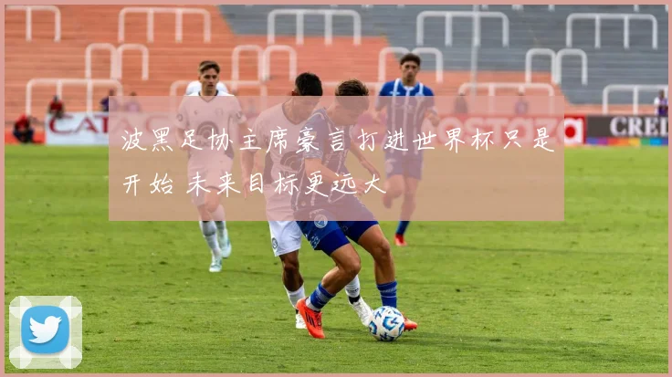 波黑足协主席豪言打进世界杯只是开始 未来目标更远大