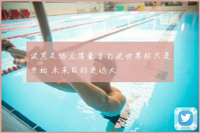 波黑足协主席豪言打进世界杯只是开始 未来目标更远大